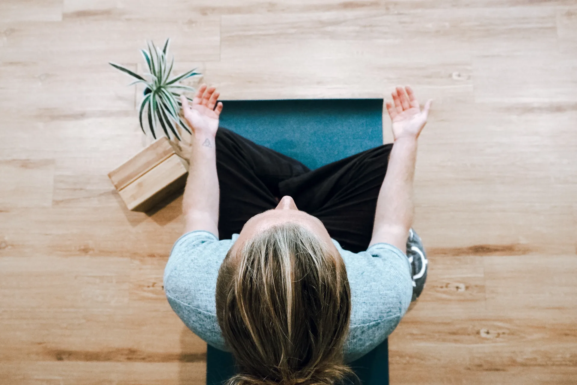 Balance bei Schulstress – Person sitzt auf einem Yoga-Matte auf dem Boden und hält eine Pflanze in einem Topf, aus der Vogelperspektive betrachtet.